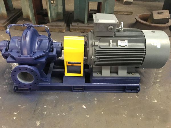 TSH type pump.jpg